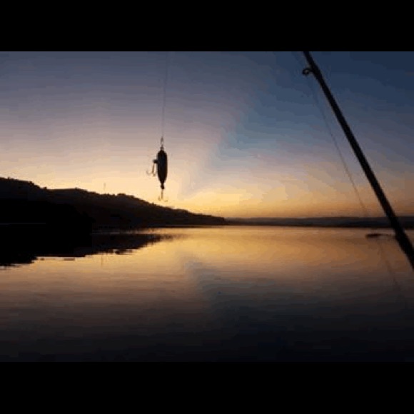 Meet your Posher, Roberto - Picture 1 of 1